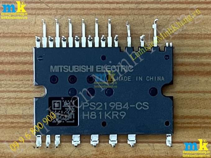 PS219B4-CST / PS219B4-CS 